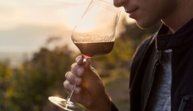 Vino dealcolato, risolto il nodo fiscale: ora si può produrre anche in Italia