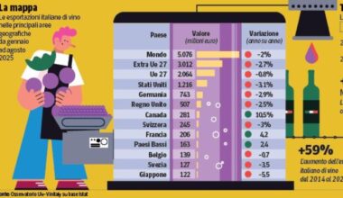 Vino, il nuovo oggetto del desiderio: le cantine (e le bottiglie) più ammirate, dalla Puglia a Marche e Veneto, tutti i nomi