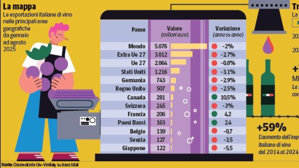 Vino, il nuovo oggetto del desiderio: le cantine (e le bottiglie) più ammirate, dalla Puglia a Marche e Veneto, tutti i nomi