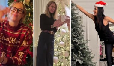 Natale vip: gli alberi di Hunziker, Blasi, Pellegrini, Ferragni