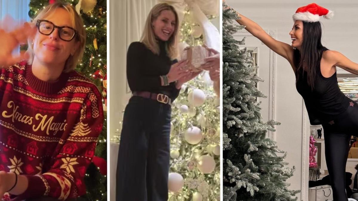 Natale vip: gli alberi di Hunziker, Blasi, Pellegrini, Ferragni