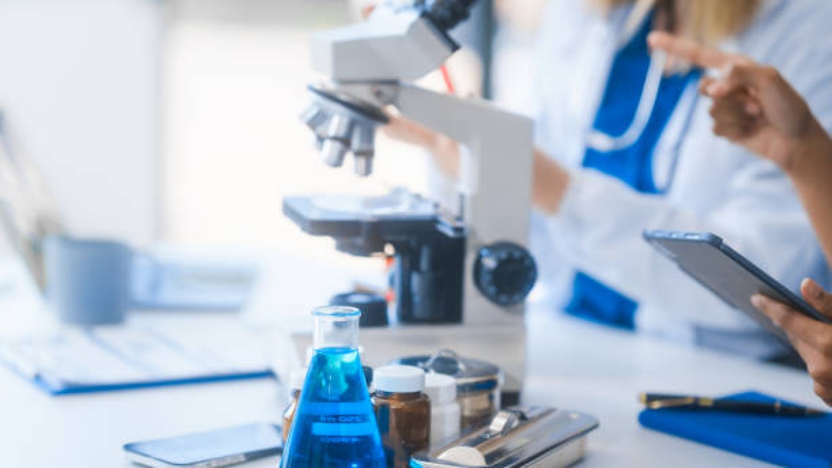 Ematologia, riconoscimento prestigioso alla ricercatrice Chiara Bonini negli Usa