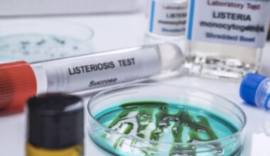 Listeria, perché in Europa aumentano i casi gravi: più anziani, cibi pronti e scarsa attenzione alle regole della conservazione