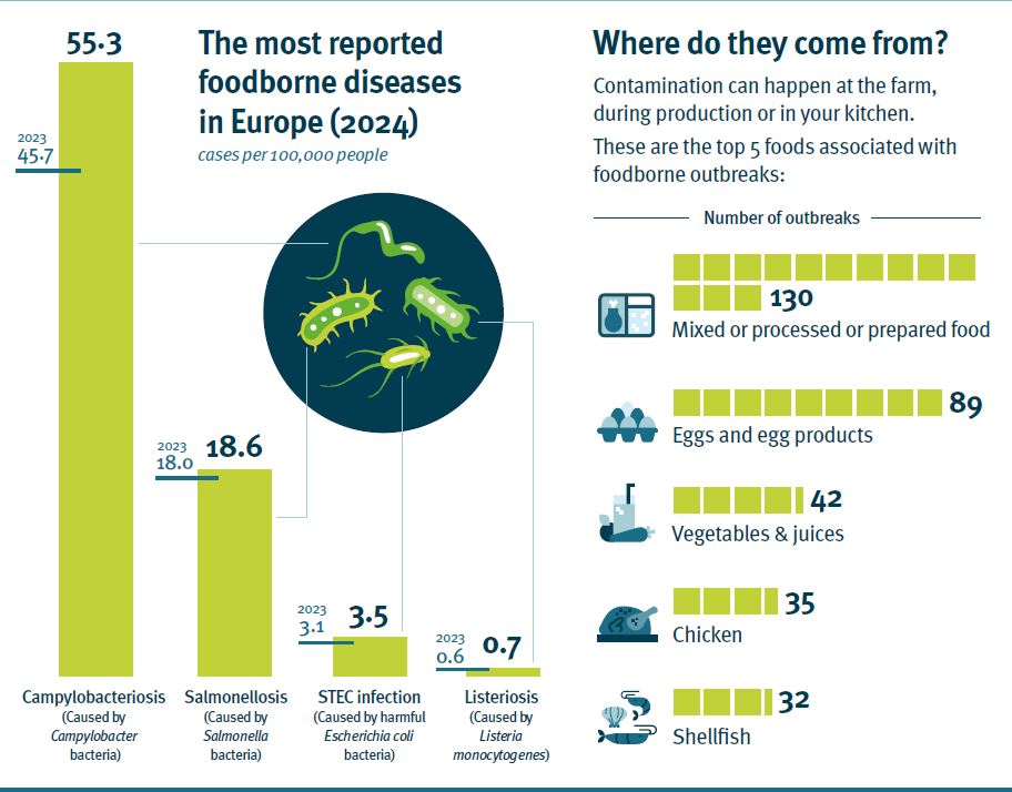Listeria, perché in Europa aumentano i casi gravi: più anziani, cibi pronti e scarsa attenzione alle regole della conservazione