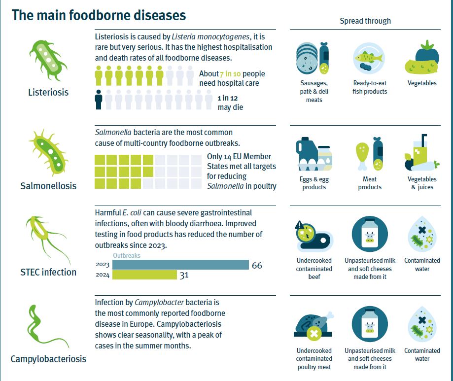 Listeria, perché in Europa aumentano i casi gravi: più anziani, cibi pronti e scarsa attenzione alle regole della conservazione