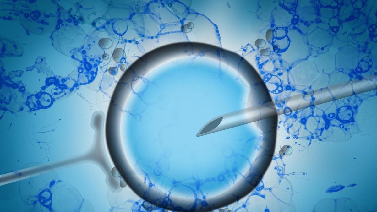 Il donatore di sperma ha una mutazione che aumenta fino al 90% il rischio di cancro: a rischio almeno 200 bambini