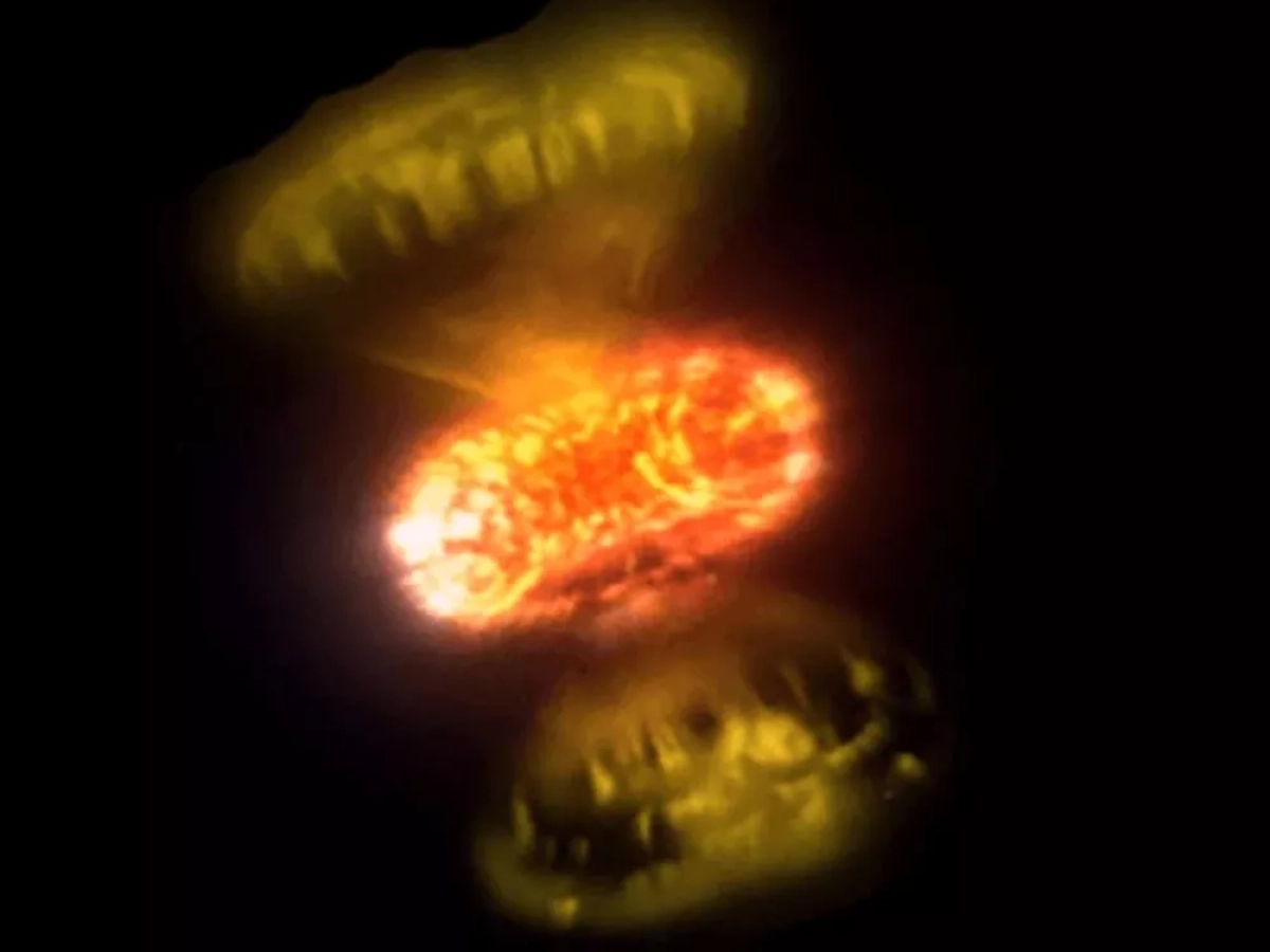 Ecco come esplodono le stelle: due novae catturate in alta definizione raccontano la vita delle nane bianche