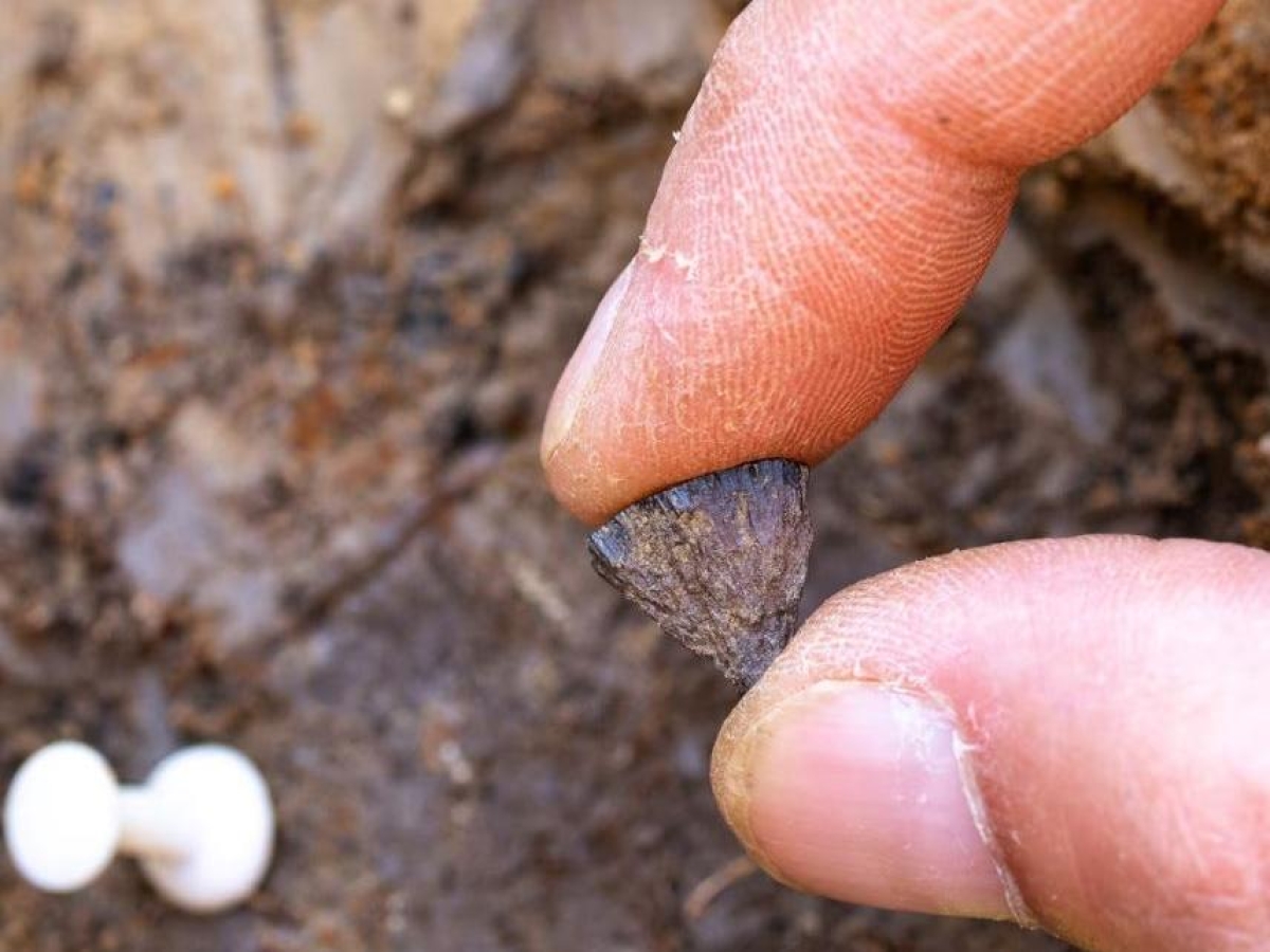 L'uomo ha scoperto il fuoco molto prima di quello che pensavamo