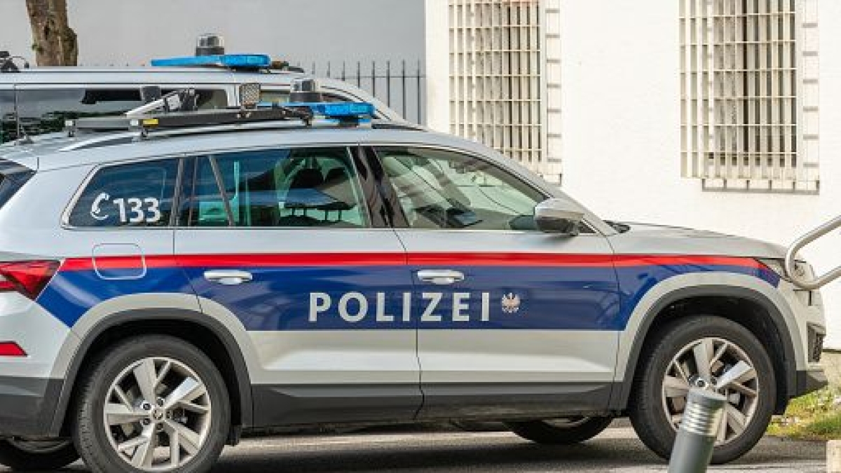 Germania, preparavano un attentato a un mercatino di Natale: cinque arresti