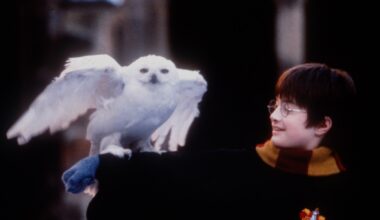 Il rifiuto di Spielberg, i baffi di Radcliffe, il «trucco» delle controfigure e le aule scolastiche negli studi: 5 cose che non sai sui film di Harry Potter