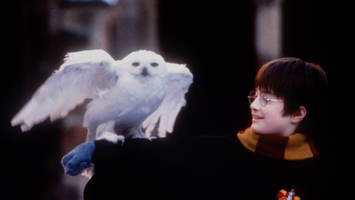 Il rifiuto di Spielberg, i baffi di Radcliffe, il «trucco» delle controfigure e le aule scolastiche negli studi: 5 cose che non sai sui film di Harry Potter
