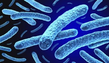 Il ritorno della lebbra in Europa, due casi in Romania e uno in Croazia. Ma oggi si può curare