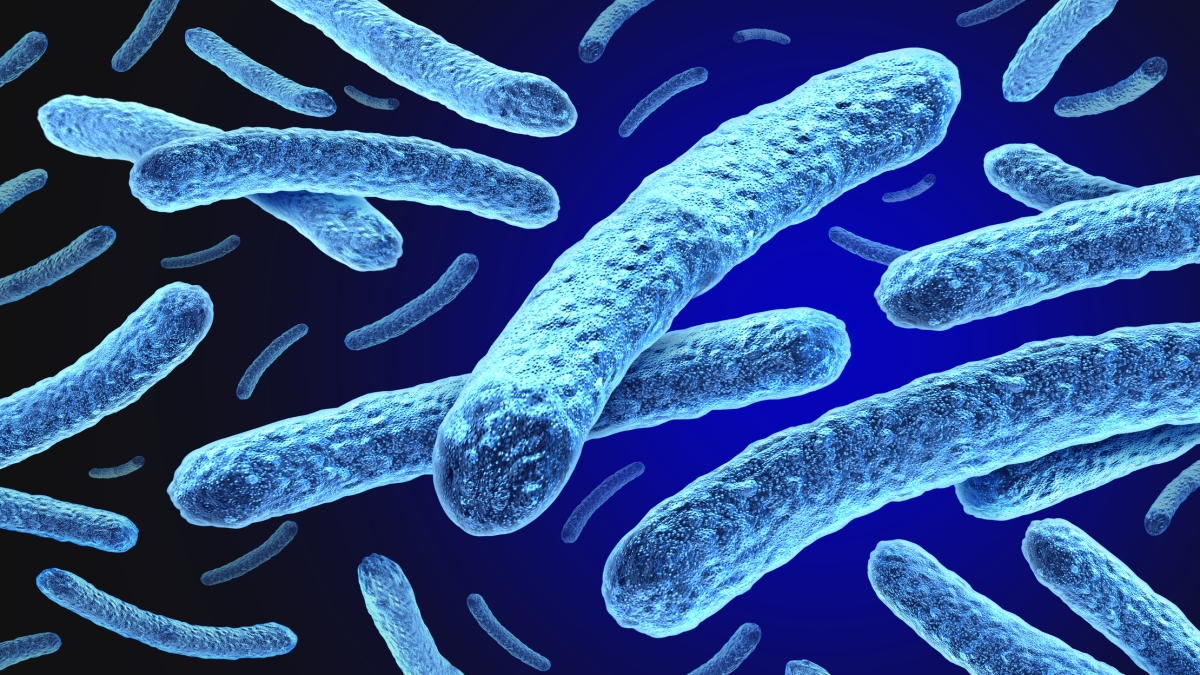 Il ritorno della lebbra in Europa, due casi in Romania e uno in Croazia. Ma oggi si può curare