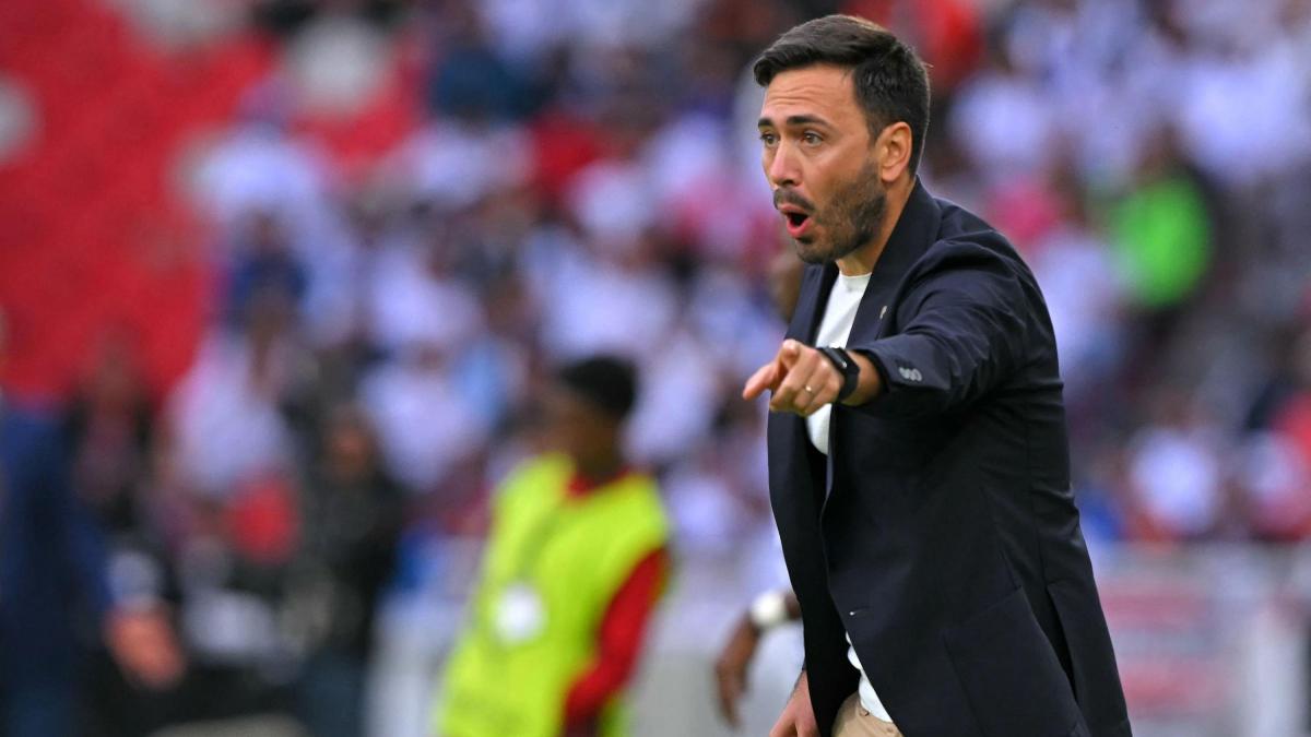 Davide Ancelotti esonerato dal Botafogo