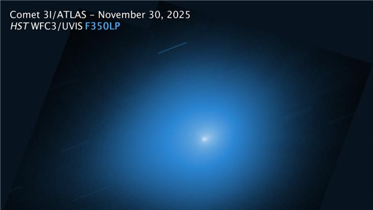 La cometa 3I/Atlas si avvicina alla Terra: come vederla (basta un ottimo binocolo) e le nuove ipotesi