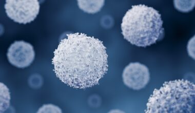 Il sistema immunitario può ringiovanire: lo studio del Mit sui topi