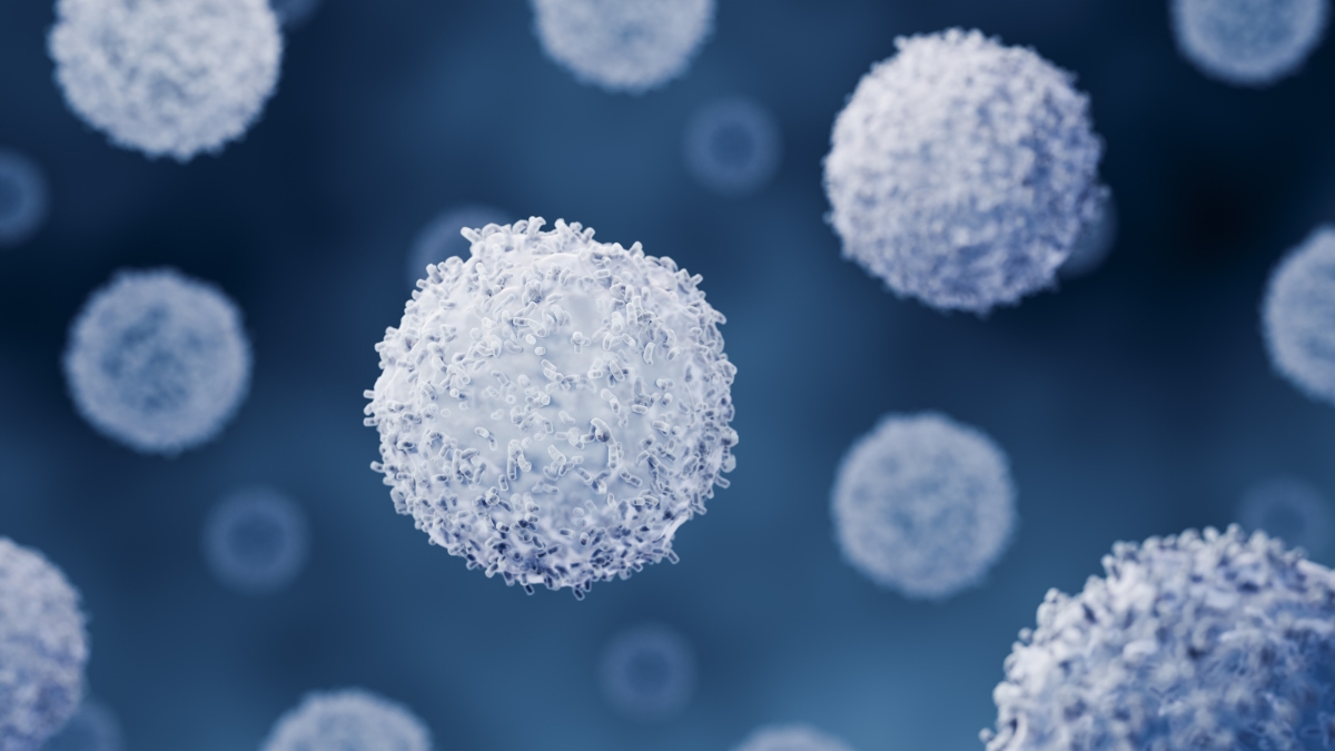 Il sistema immunitario può ringiovanire: lo studio del Mit sui topi