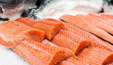 Salmone: colore, occhi e branchie, come capire se è fresco e di ottima qualità (per non farsi ingannare)