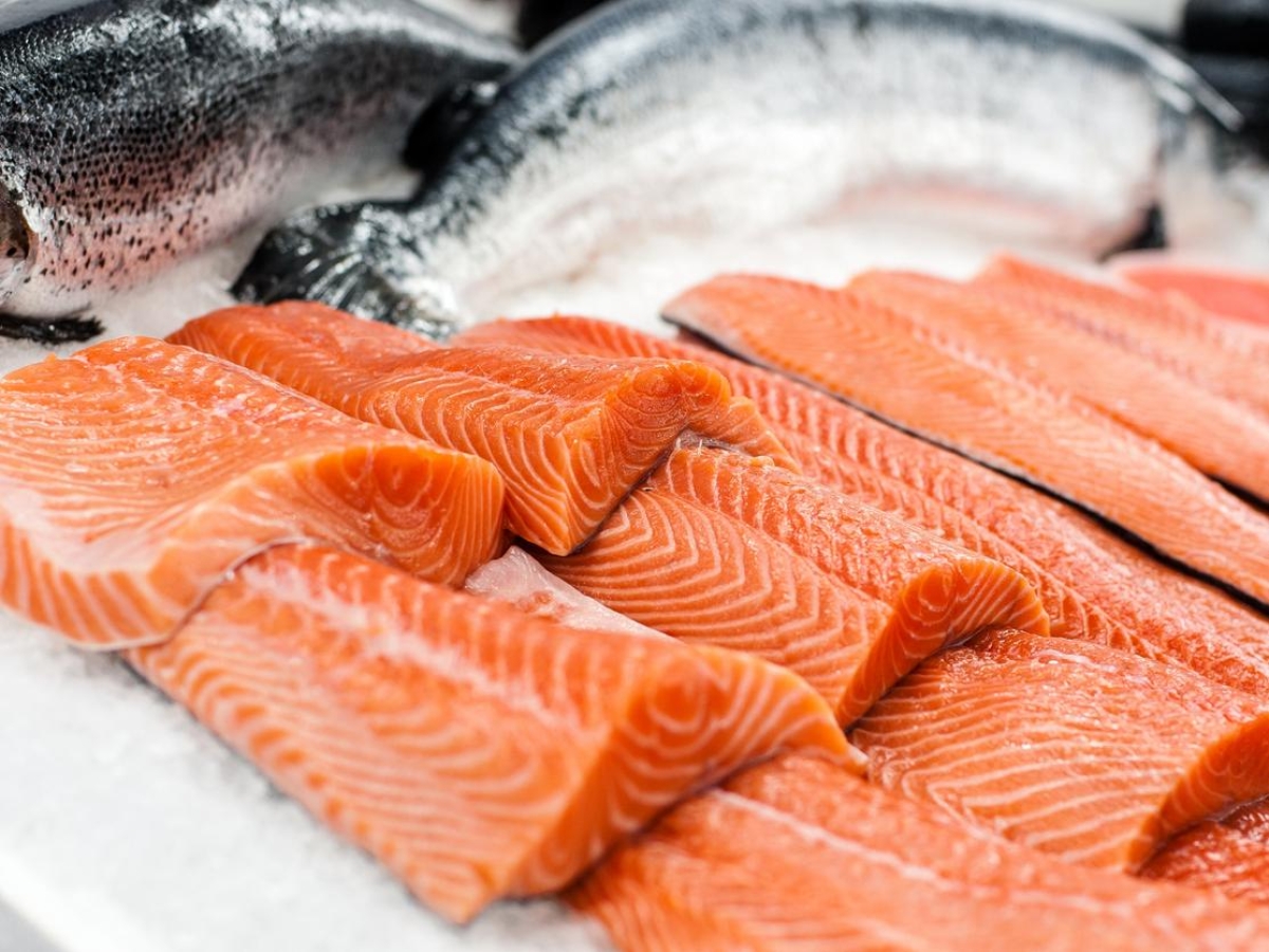 Salmone: colore, occhi e branchie, come capire se è fresco e di ottima qualità (per non farsi ingannare)