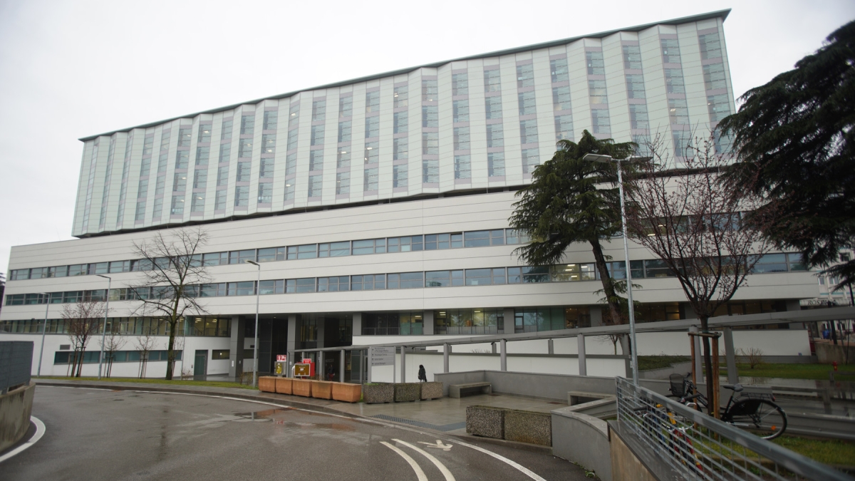 «Il merito non è un cognome». L'intervento di un professore sul figlio dell'ex rettore dell'università di Verona Nocini