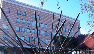 Cambia sesso a 13 anni, il via libera del tribunale al nuovo nome dopo la terapia ormonale: «Il più giovane d'Italia. Percorso consapevole»