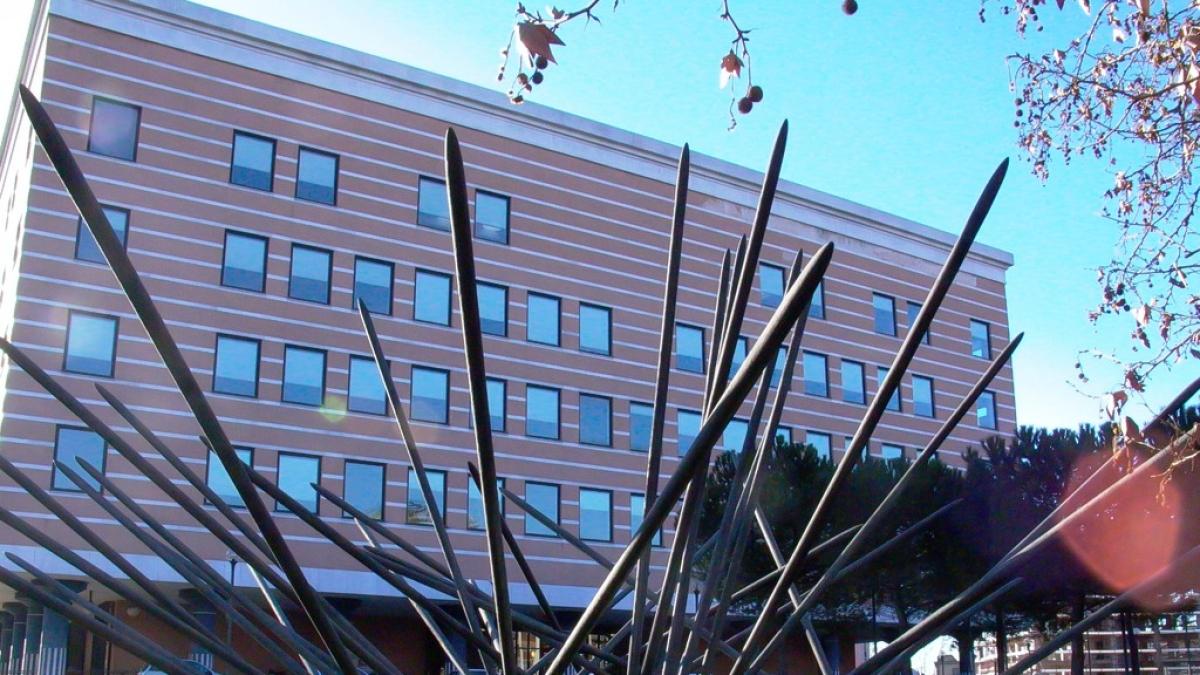 Cambia sesso a 13 anni, il via libera del tribunale al nuovo nome dopo la terapia ormonale: «Il più giovane d'Italia. Percorso consapevole»