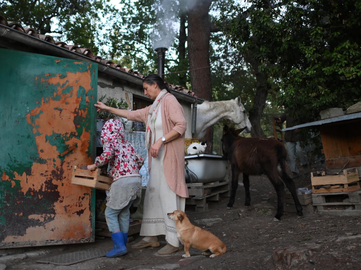 Famiglia nel bosco, come hanno trascorso il Natale. Ora un super psichiatra per ribaltare il caso