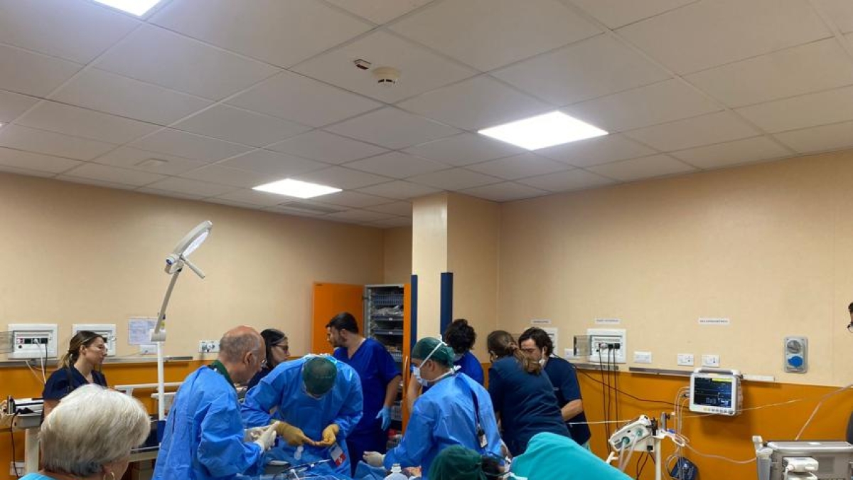 Giada salvata dalla morte con un massaggio cardiaco da record di 107 minuti. Il «miracolo» al Civico di Palermo