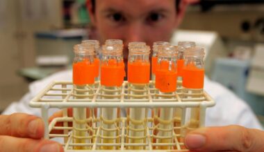 Il doping dei vermi marini: sangue con l'ossigeno 10 volte più alto, allarme per la Wada