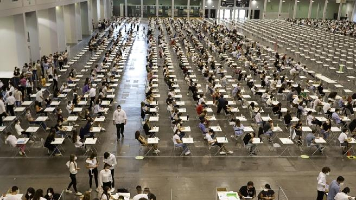 Nuovo test di Medicina, altro disastro in Fisica: «Ma a Padova e Verona la sanatoria non serve»