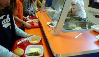 Cyberattacco a Milano Ristorazione: «Gli hacker potrebbero essersi impossessati dei dati personali degli utenti»