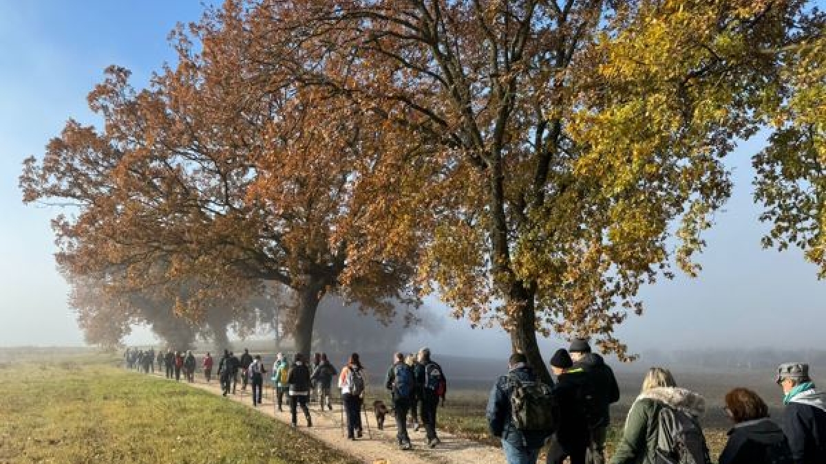Sui Cammini di Santiago (e su quelli italiani) ispirati dal «buen» Checco Zalone. «Il film? Aumenterà il numero dei viandanti»