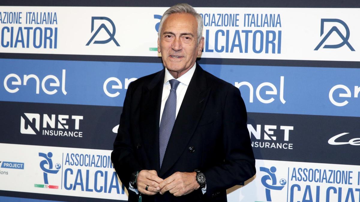 Figc bilancio integrato 2025: tutti i numeri del calcio italiano