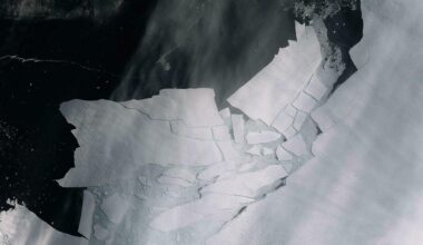 Ghiacciaio dell'Apocalisse, individuato il tallone d'Achille: conseguenze drammatiche in tutto il mondo se dovesse rompersi - Il Messaggero