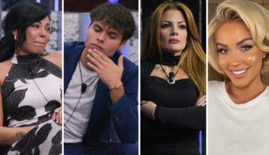 Dolce attira la gelosia di Rasha (8), Domenico incommentabile (4), il provvedimento fasullo di Simone e Francesca (3)