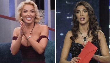 «Il bue che dice cornuto all'asino»