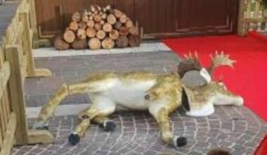 La statua di alce danneggiata dal bimbo, è polemica a Porto Sant'Elpidio. «Chi rompe paga». «Ma ha solo sei anni»