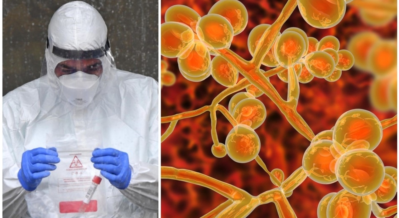 per i pazienti infetti il tasso di mortalità è del 45%. Cosa è emerso dallo studio