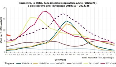 «Oltre un milione a letto nella settimana di Natale». Sintomi e cure