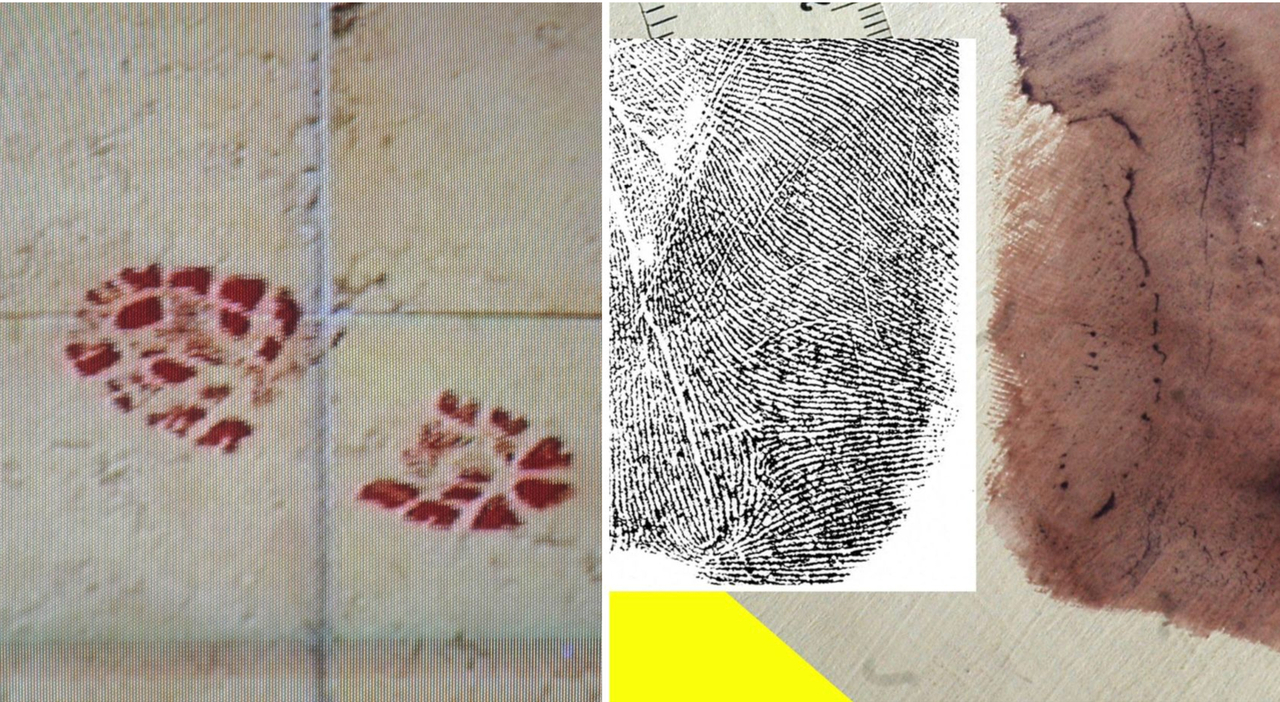 una scarpa insanguinata vicino al corpo di Chiara Poggi. «Compatibile con la traccia del killer»​