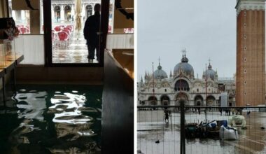 alberi caduti e recinzioni divelte