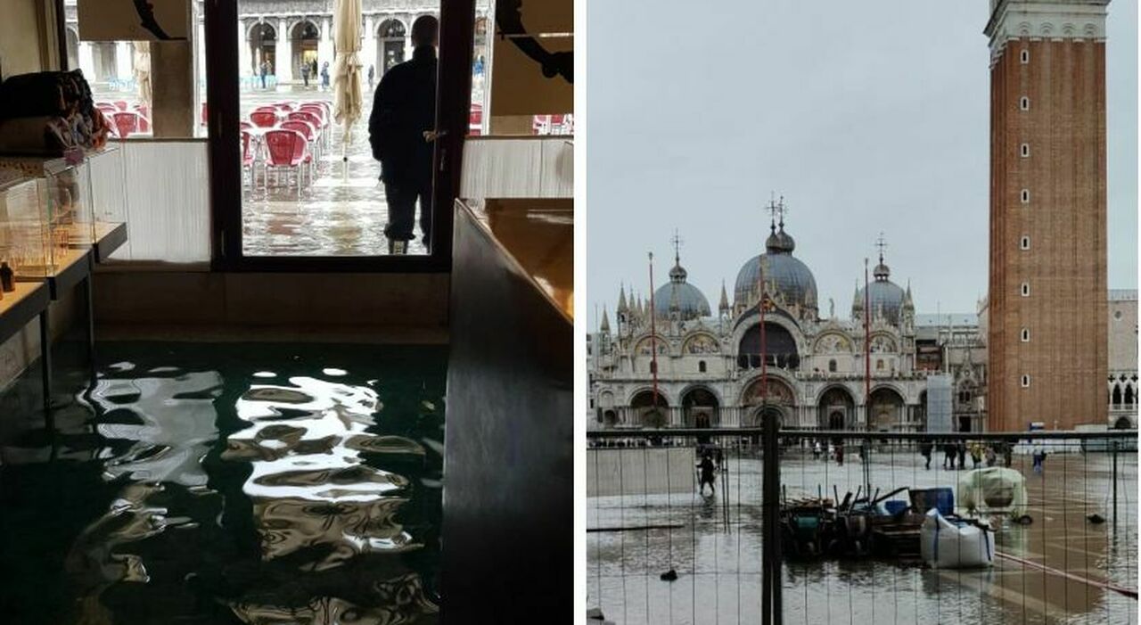 alberi caduti e recinzioni divelte