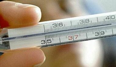 Influenza (variante K) e i contagi a Natale, Bassetti: «Aumento importante nel numero dei casi, ecco i sintomi» - Il Mattino