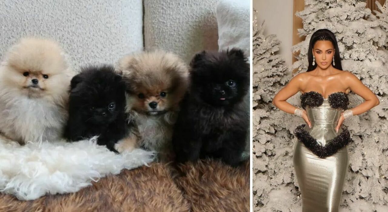 ai quattro figli ha regalato un cane a testa per Natale. «Non sono peluche»