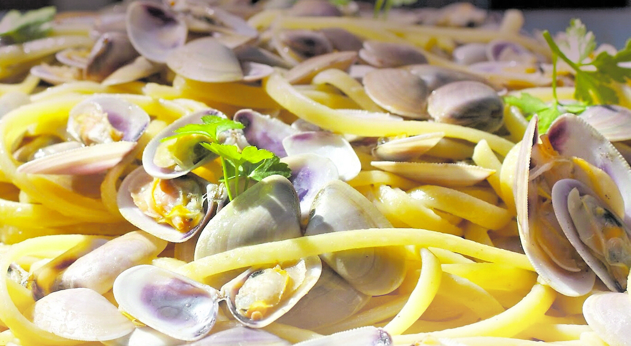 divieto temporaneo di raccolta e vendita. I rischi e cosa evitare