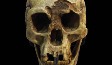 la triste storia dell'Homo floresiensis