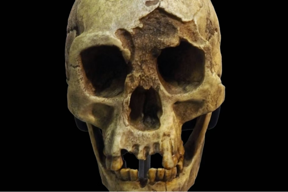la triste storia dell'Homo floresiensis