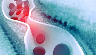 vai alla homepage de Il Sole 24 Ore