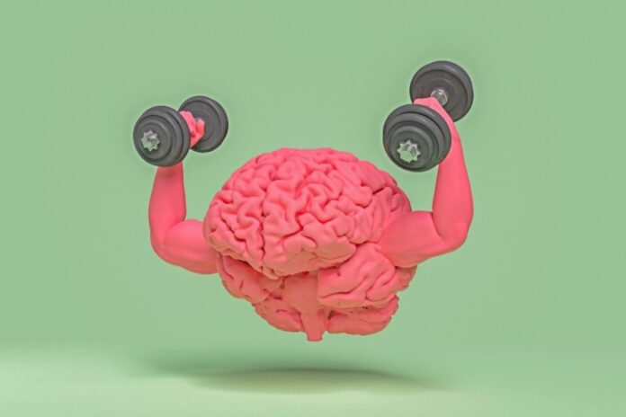 Allenare il cervello