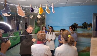 Messaggio di Natale del vescovo Giuliano